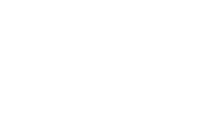 mariana mourao